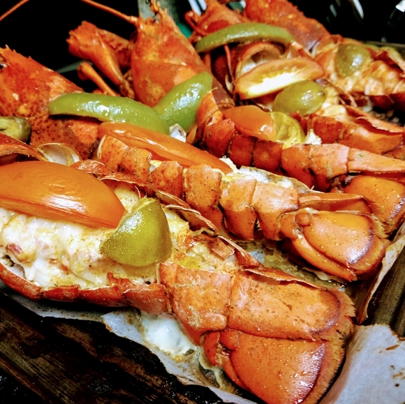 Meet your Posher, Samy - Picture 5 of 5